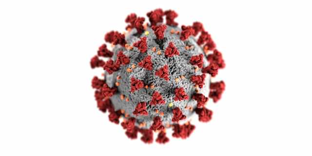 Microscopic illustration of covid-19 virus